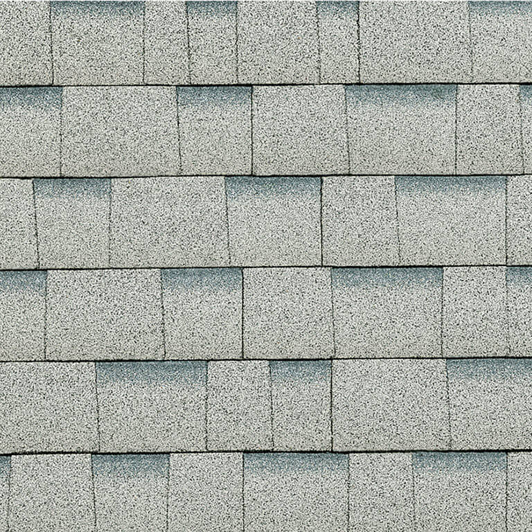 Shasta White