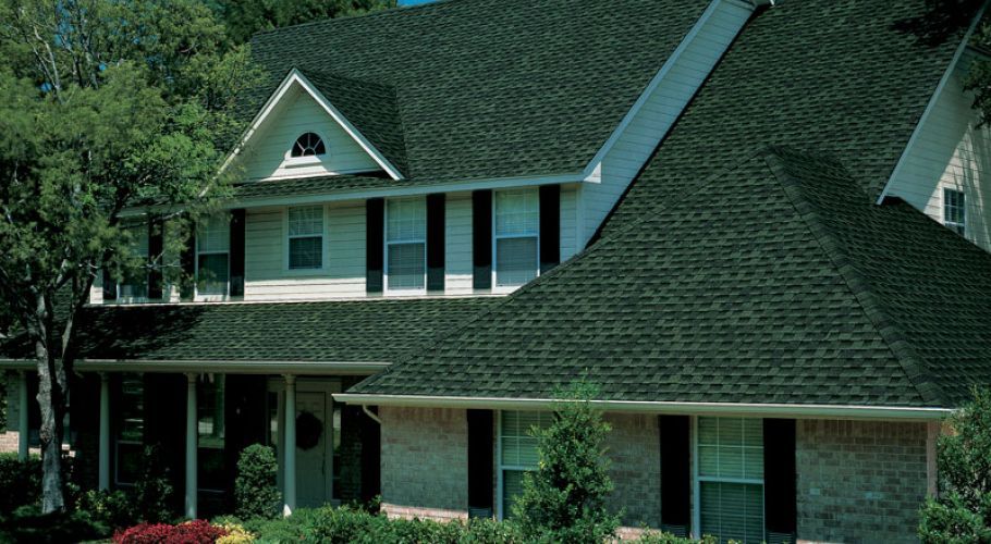 Timberline